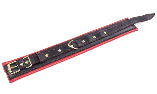 Черно-красный ошейник с поводком на золотой цепи фото 4