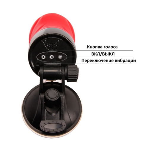 Вибромастурбатор с голосовым сопровождением Crazy Bull Delia на присоске фото 8