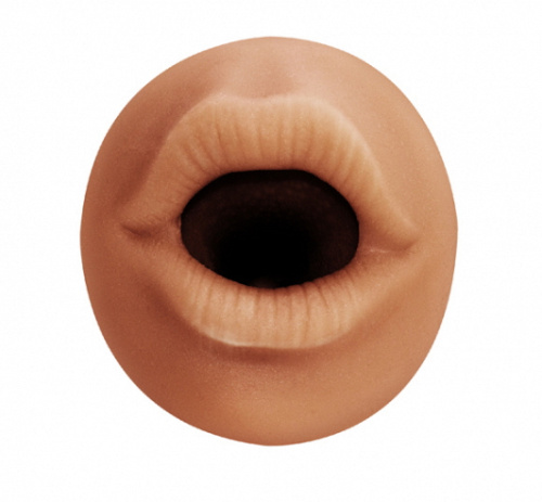 Реалистичный мастурбатор-ротик Satisfaction Hottie фото 4