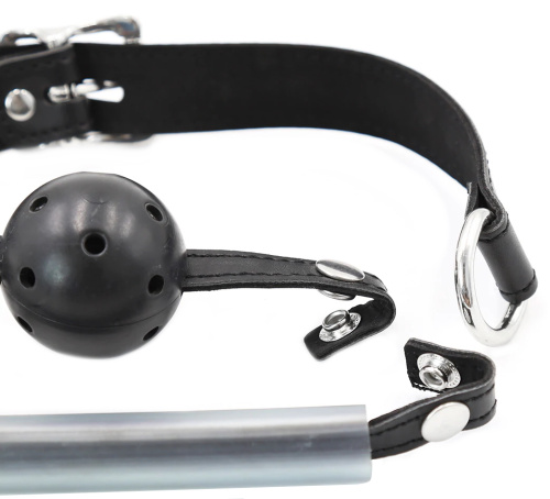 Двойной кляп-шар со сменным пластиковым трензелем фото 4