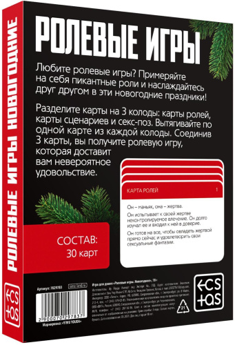 Игра для двоих Новогодние ролевые игры фото 4