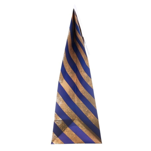 Подарочный пакет Посылка от Деда Мороза ML фото 4