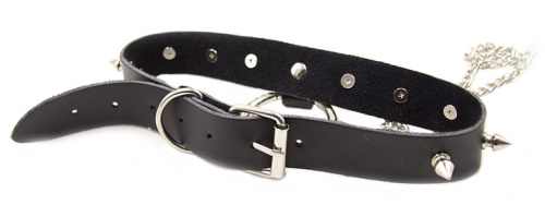 Ошейник декорированный шипами и с пэстисами для сосков фото 5