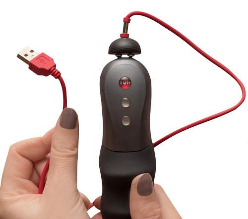 Зарядное устройство для Fun Factory USB фото 3