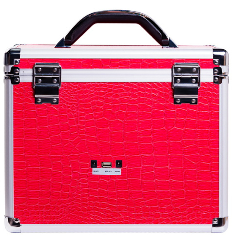 Секс-чемодан Diva Wiggler с двумя сменными насадками фото 5