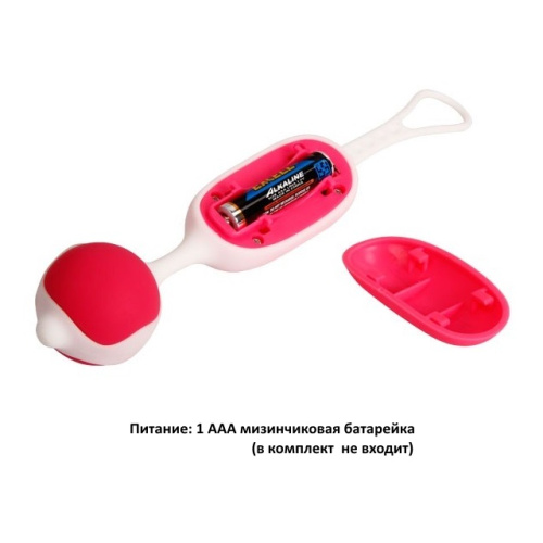 Вагинальные шарики с вибрацией Barnett Pretty Love фото 4