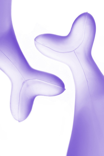 Набор менструальных чаш Satisfyer Feel Secure, лиловый фото 7