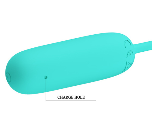 Классическое перезаряжаемое виброяйцо Pretty Love Joyce мятное фото 7